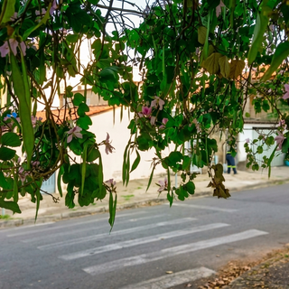DaEsquina
