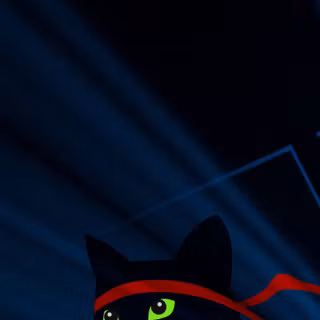 ninja cat