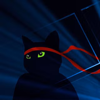 ninja cat