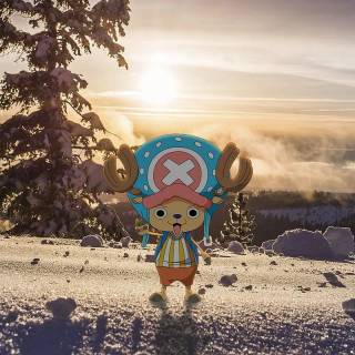 Chopper one piece Phone wallpaper 4k