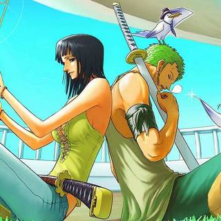 Robin and Zoro wallpaper one piece