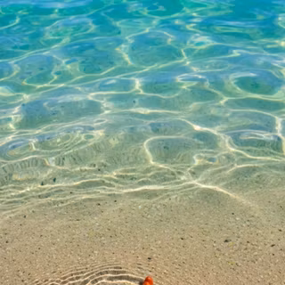 Starfish in the sea