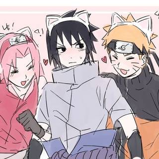 team 7
