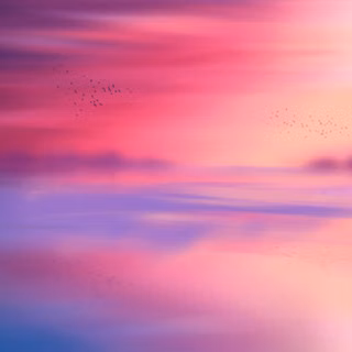 pink sky horizon scenic flying birds seascape sunset