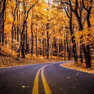 Shenandoah national park virginia united states autumn