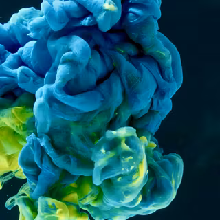 Blue and Yellow Ink in Water Cloud - A vibrant high-speed macro photograph capturing dense plumes of electric blue and bright yellow ink swirling and billowing underwater against a stark black background.