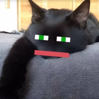 thatmob cat pfp