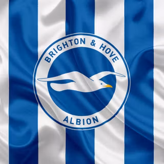 Brighton & Hove Albion F.C.