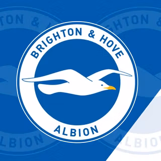 Brighton & Hove Albion F.C.