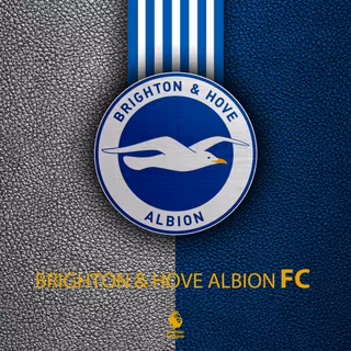 Brighton & Hove Albion F.C.