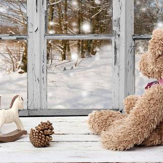 Cute Winter Bear
