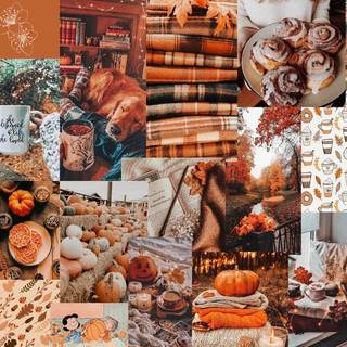 Autumn Collage