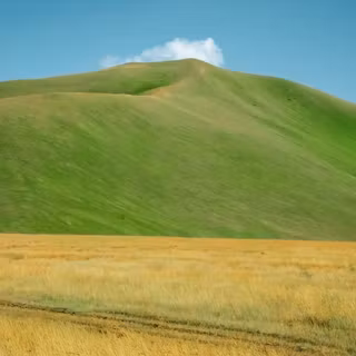 nature, moutain, grassland