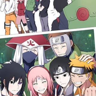Team 7