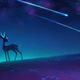 Deer Silhouette Watching Meteor Shower