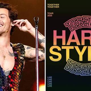harry styles
