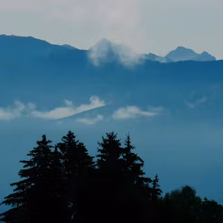 moutain, tree, nature