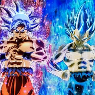 Goku autonomous Uitra instinct  mastered  and vegeta 4k HD wallpaper dragon ball super 