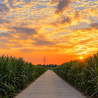 countryside, village