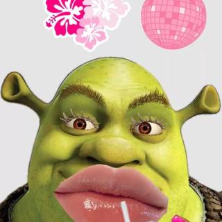 preppy shrek lil girl
