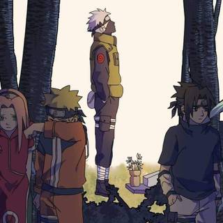 Team 7