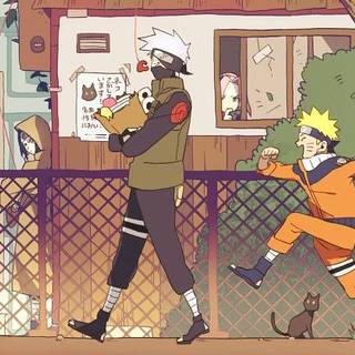 Team 7