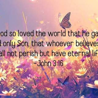 John 3:16