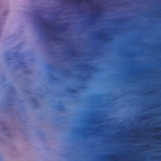 fur, hair