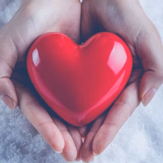 ❤️