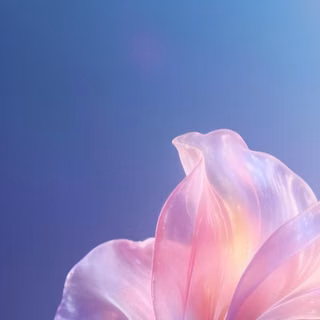 flower, 4k