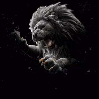 Attack lion Picture 