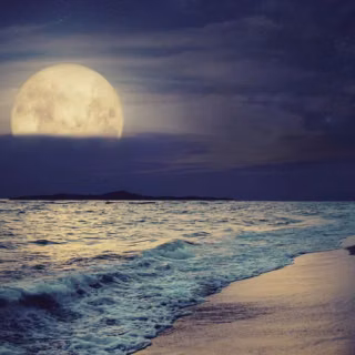 tropical-beach-night-vibe