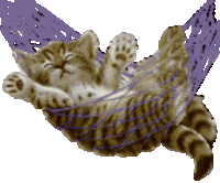 cute animals  and angel  wallpaper