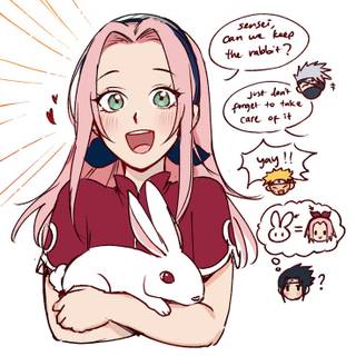 Sakura