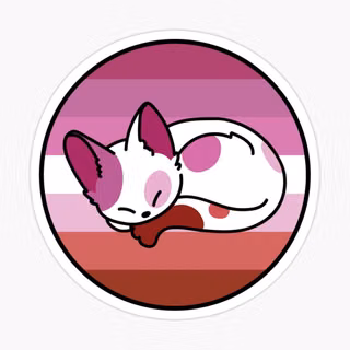 Les kitty