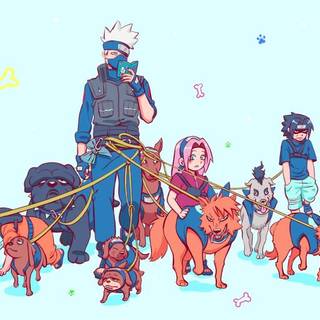 Team 7 looking after  Kakachi's  dogs