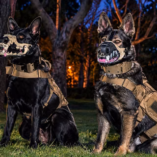 Call of Duty - Dogs