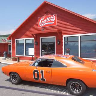 Cooter's In The Country