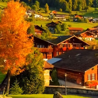 village‌, forest
