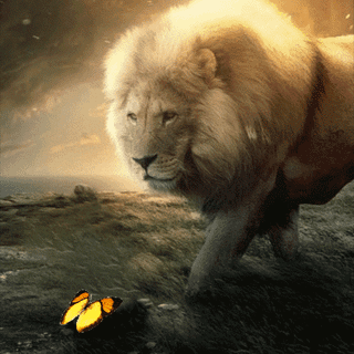 cute animals  and angel  wallpaper