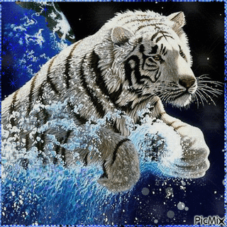 cute animals  and angel  wallpaper