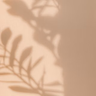 Light on Plant