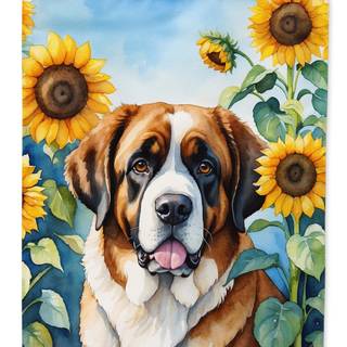 Saint Bernard Iphone Wallpaper