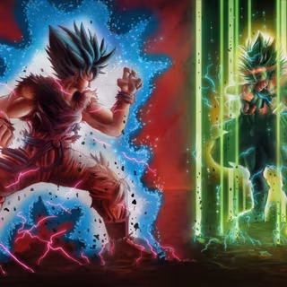 Goku vs Broly