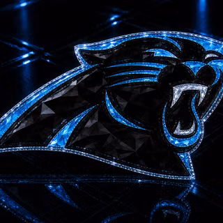 Carolina Panthers