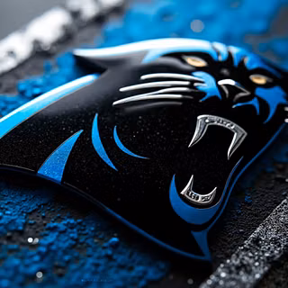 Carolina Panthers