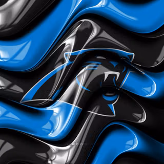 Carolina Panthers