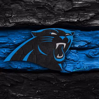 Carolina Panthers