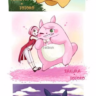 Team 7 x Totoro