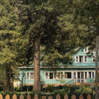 vinatge home